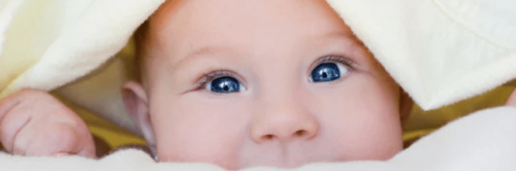 Ретинопатия Недоношенных